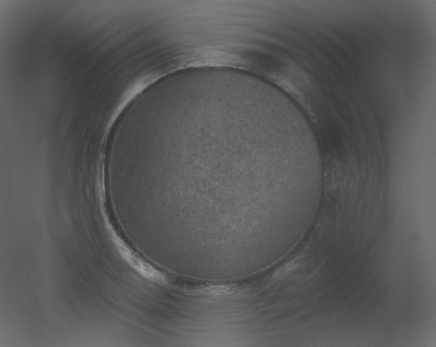 X0000051861130200506241314