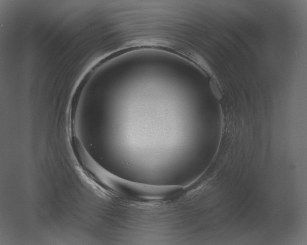 X0000051861132200506241314