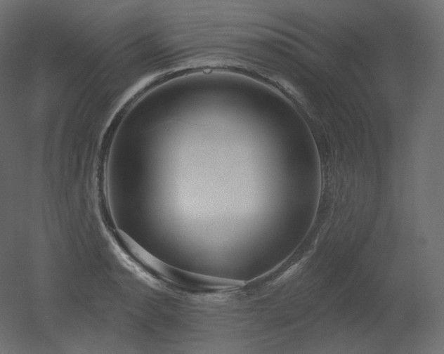 X0000051861134200506241314