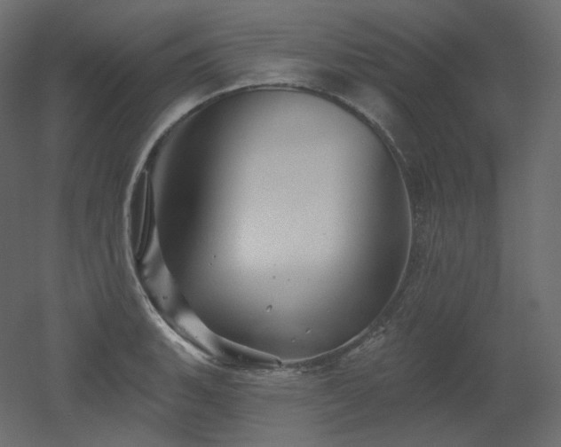 X0000051861135200506241314