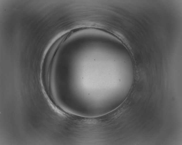 X0000051861136200506241314