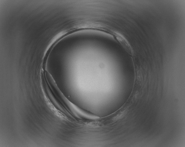 X0000051861138200506241314