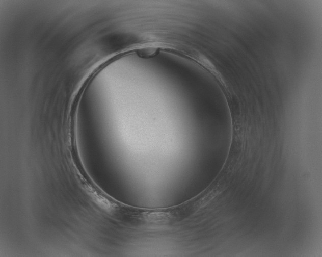 X0000051861140200506241314