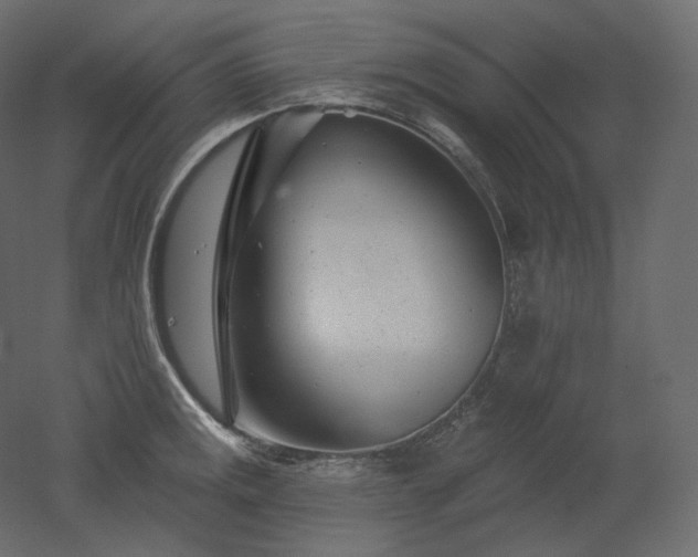 X0000051861141200506241314