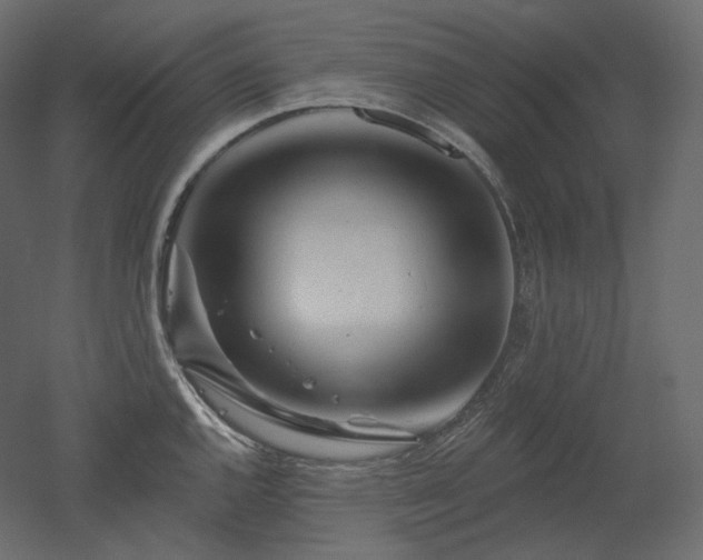 X0000051861144200506241314