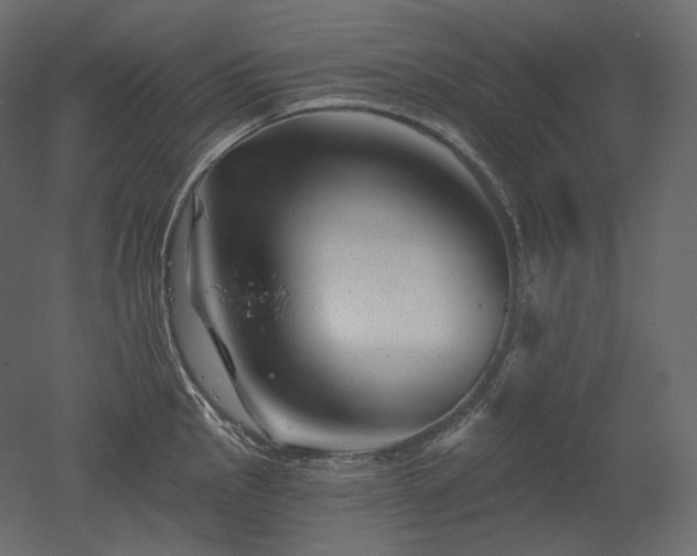 X0000051861145200506241314