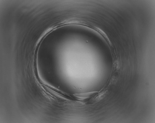 X0000051861146200506241314