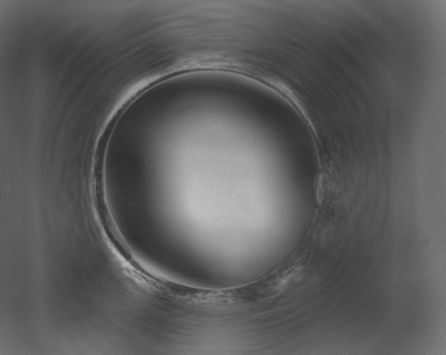 X0000051861147200506241314