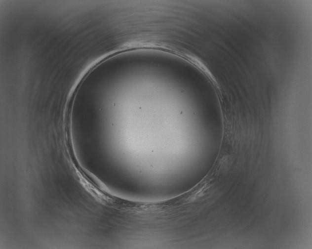 X0000051861148200506241314