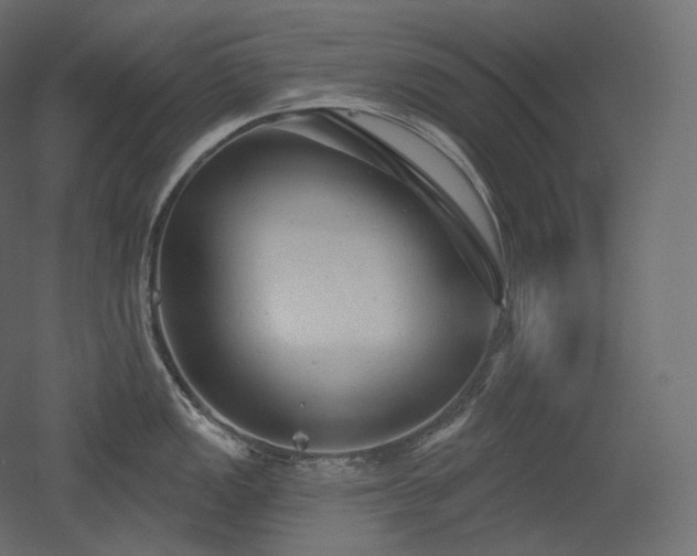 X0000051861149200506241314