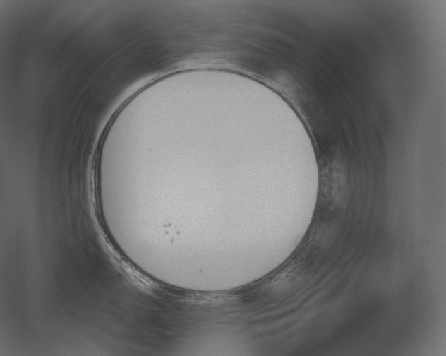 X0000051861150200506241314