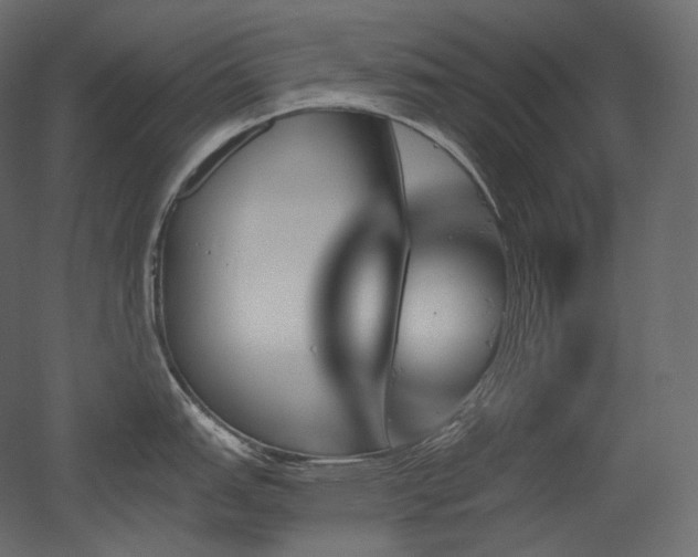 X0000051861151200506241314