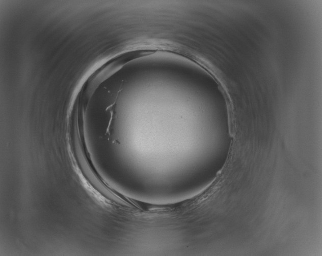 X0000051861152200506241314