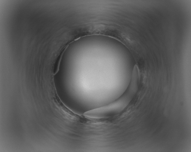 X0000051861153200506241313