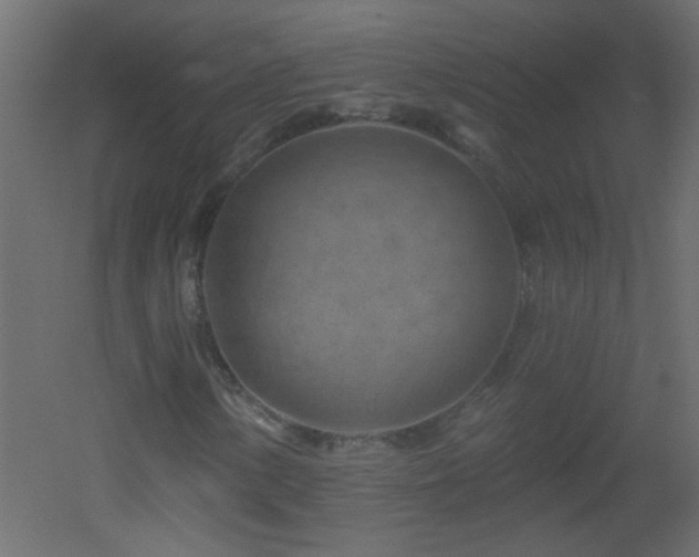 X0000051861154200506241313