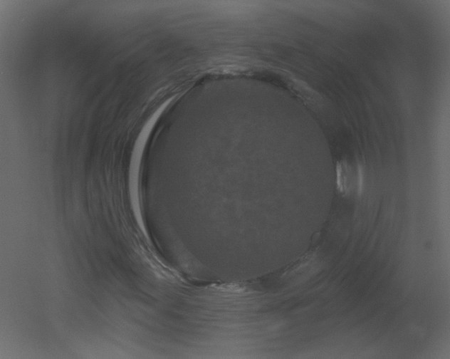 X0000051861155200506241313