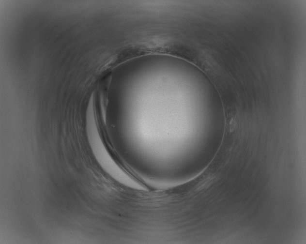 X0000051861156200506241313