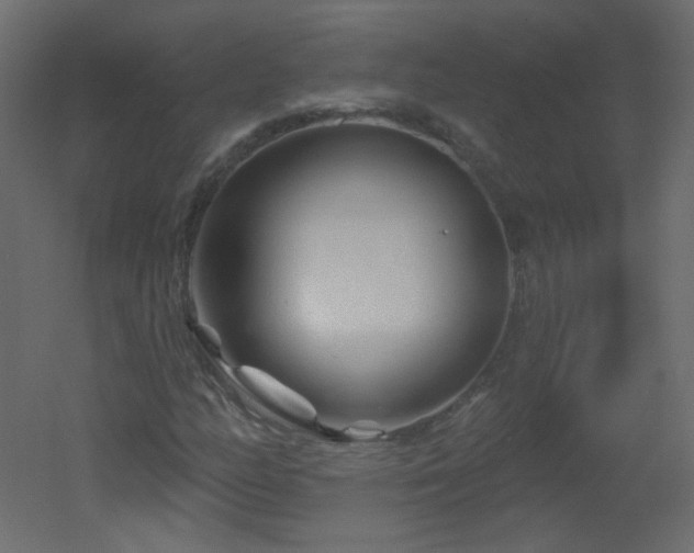 X0000051861158200506241313