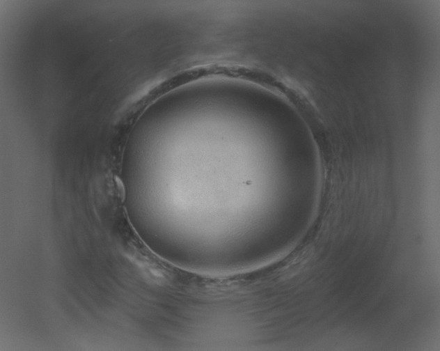 X0000051861159200506241313