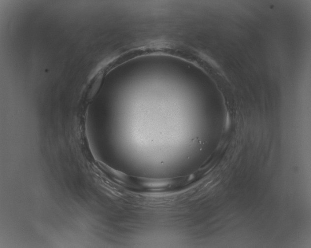 X0000051861160200506241313