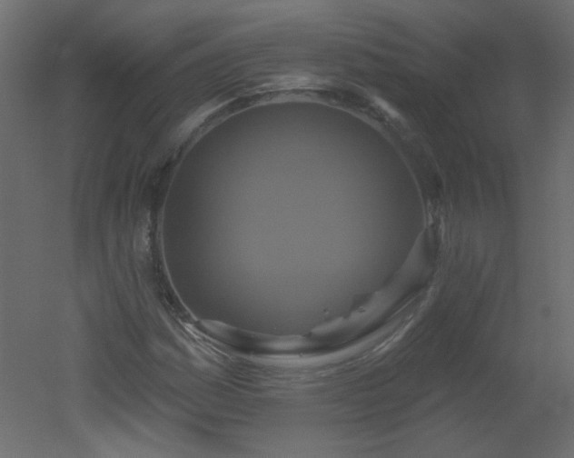 X0000051861161200506241313