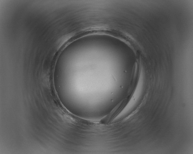 X0000051861162200506241313