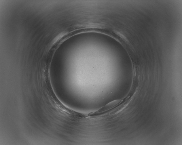 X0000051861163200506241313