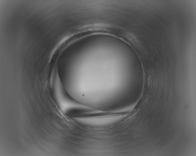 X0000051861164200506241313