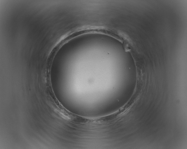 X0000051861165200506241313