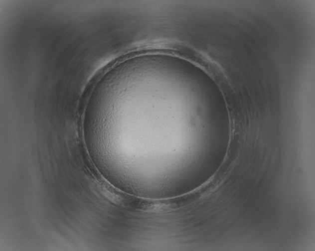 X0000051861166200506241313