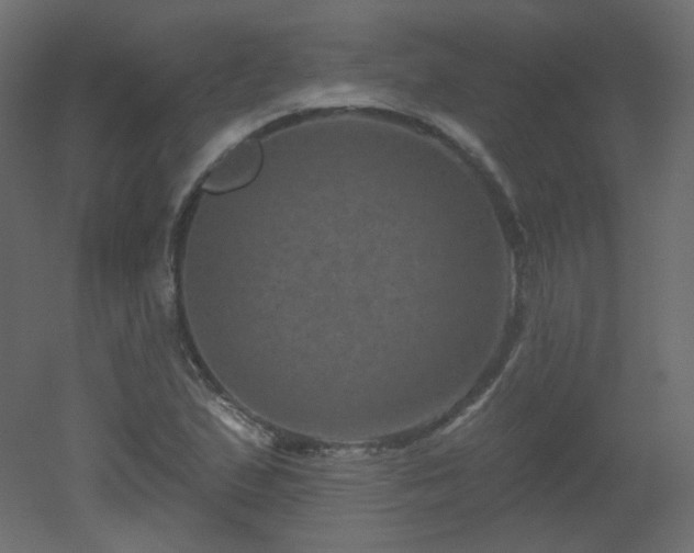 X0000051861167200506241313