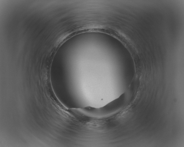 X0000051861169200506241313