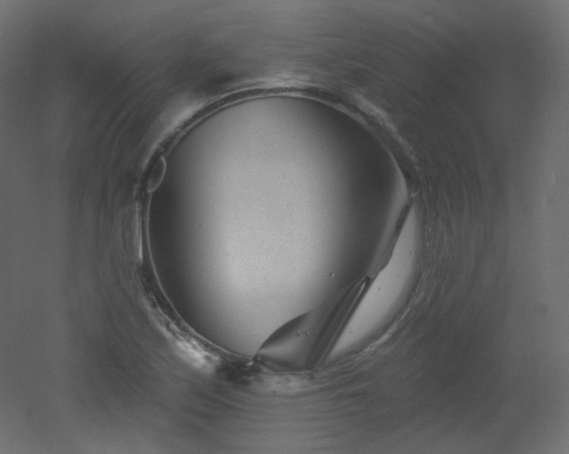 X0000051861171200506241313