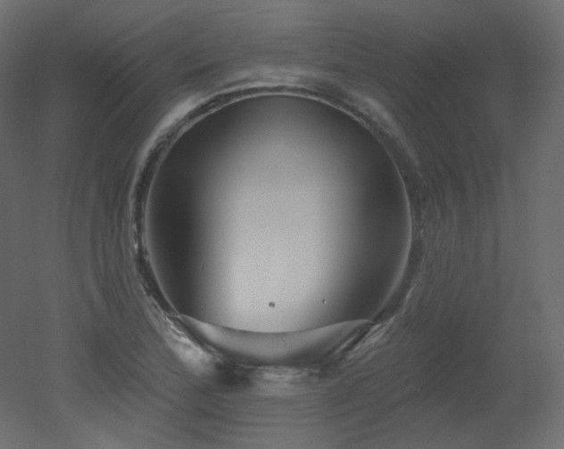 X0000051861172200506241313