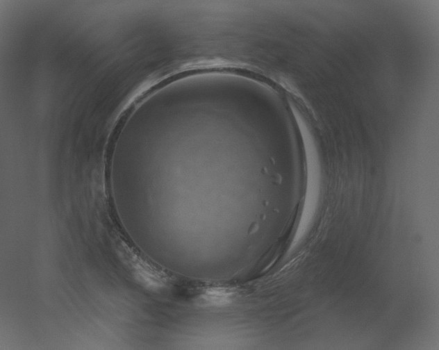 X0000051861173200506241313