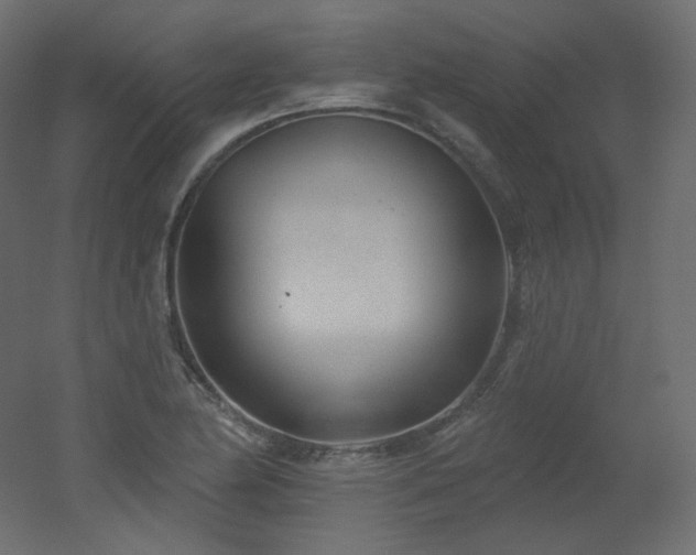 X0000051861174200506241313