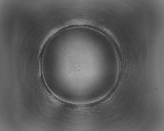 X0000051861175200506241313