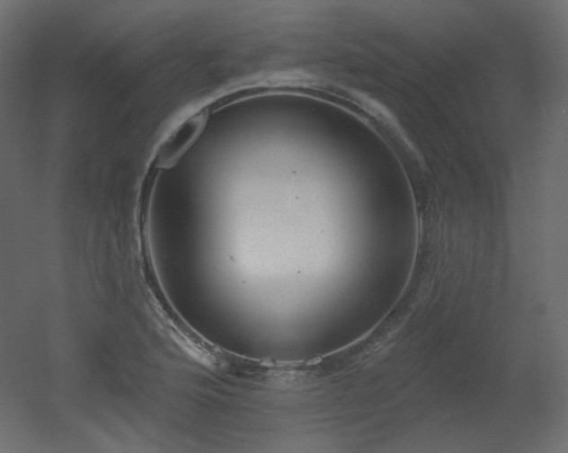 X0000051861176200506241313