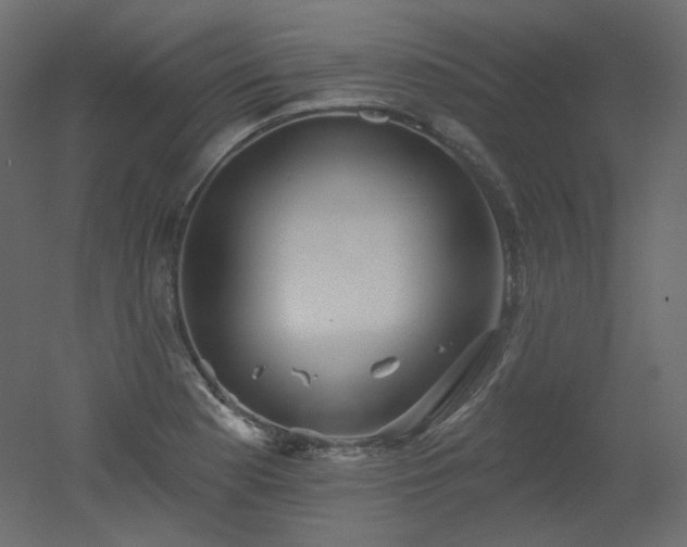 X0000051861177200506241313