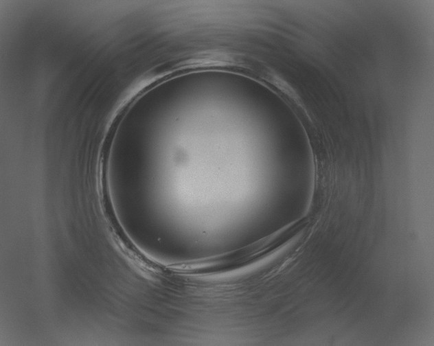 X0000051861179200506241313