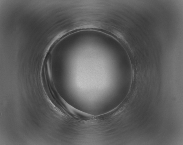 X0000051861181200506241313