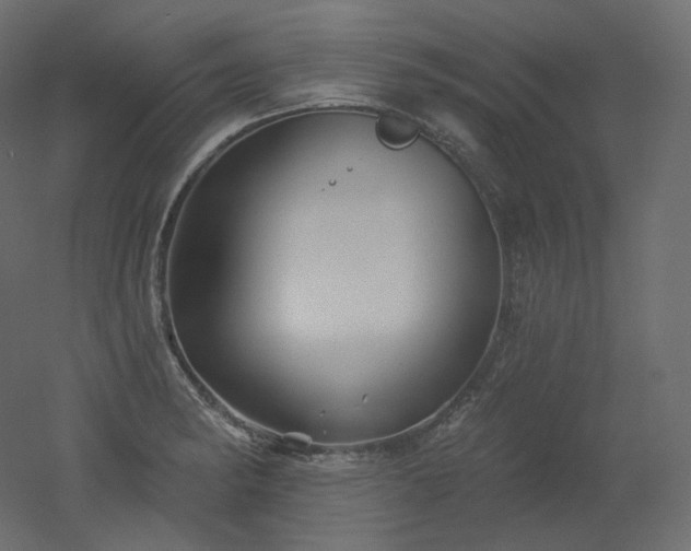 X0000051861182200506241313