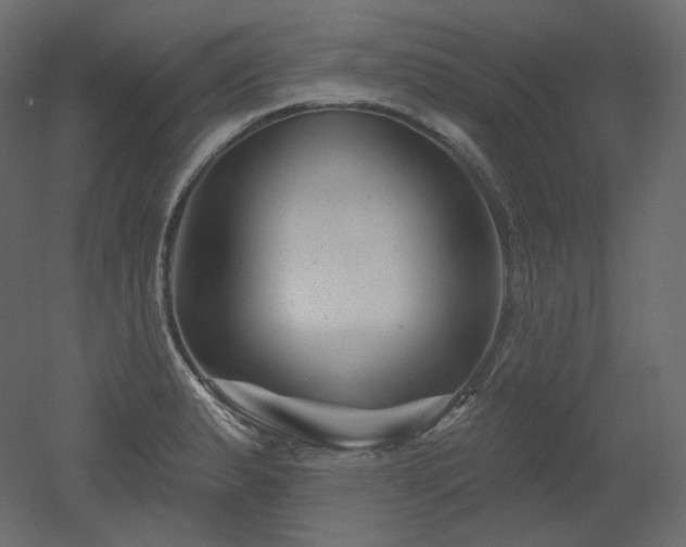 X0000051861183200506241313