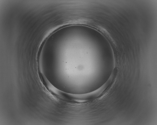 X0000051861184200506241313