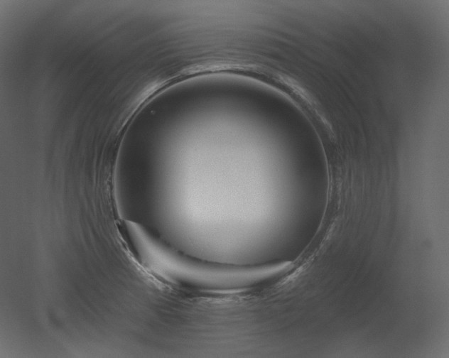 X0000051861185200506241313