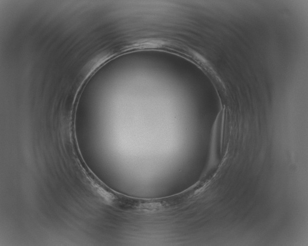 X0000051861186200506241313