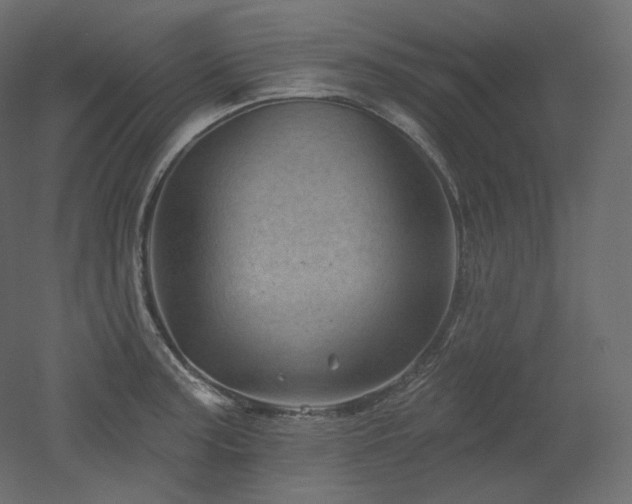 X0000051861187200506241313