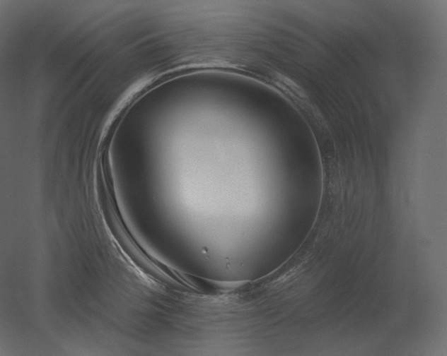 X0000051861188200506241313