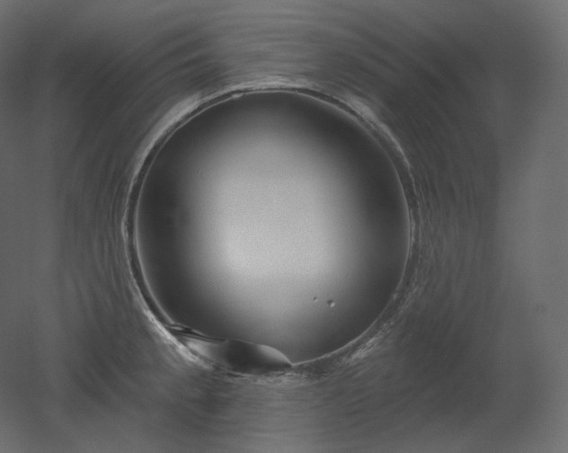 X0000051861189200506241313