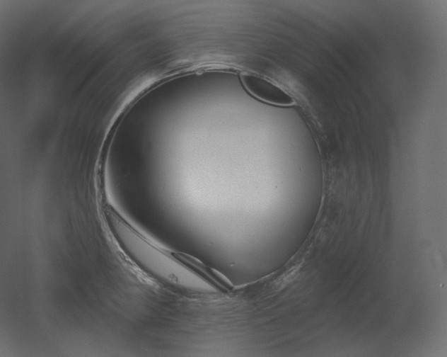 X0000051861190200506241313